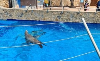 Marineland Mallorca