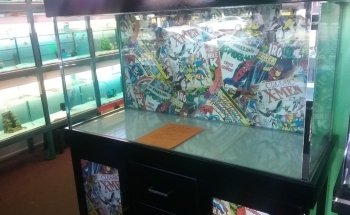 Aquarium Paradise