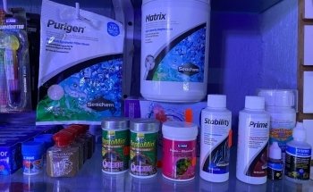 Aquarium shop