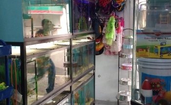 Acuario Y Mascotas Aqualan