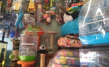 Acuario Y Mascotas Aqualan