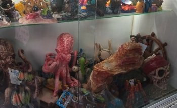 Acuario Y Mascotas Aqualan