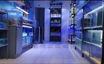 Flames Exotics Aquarium