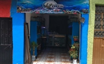 Acuario Kraken GTO