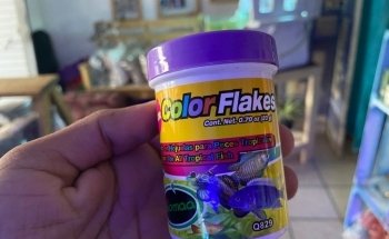 Acuario oceano atlantico