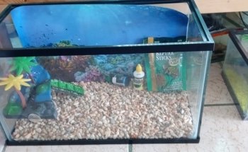 Acuario oceano atlantico