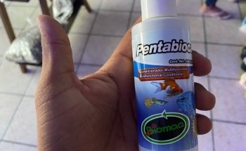 Acuario oceano atlantico