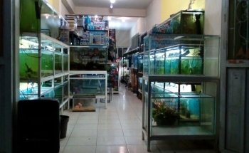Oceanic Acuario La Trinitaria
