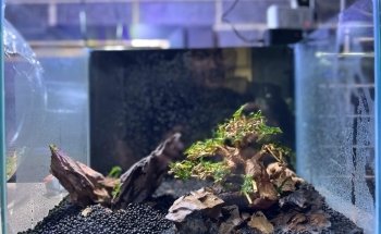 Fish Hut Aqua & Pet Supplies