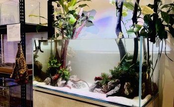 Fish Hut Aqua & Pet Supplies