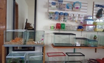Aquarius. Peces y Mascotas