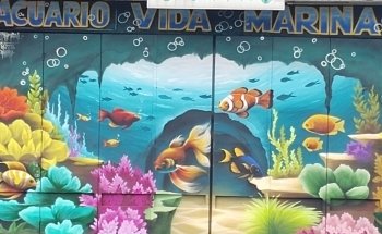 Acuario vida marina