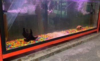 Acuario Internacional Loma Bonita