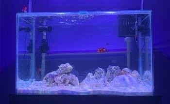 Acuario Internacional Loma Bonita