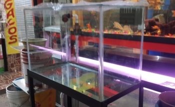 Acuario Internacional Loma Bonita