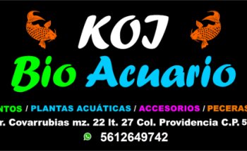Acuario 