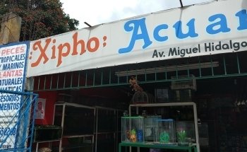 Acuario 'Xipho'