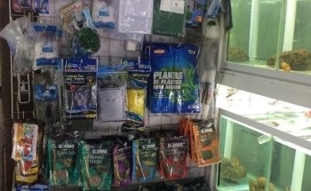 Acuario Plankton