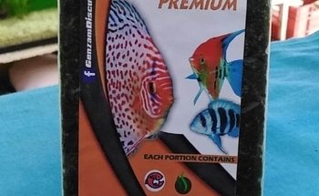 ACUARIO VIDA ACUATICA