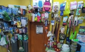 ACUARIO VIDA ACUATICA