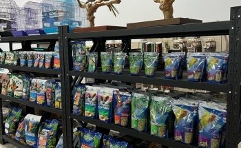 Jonath's Animal Kingdom