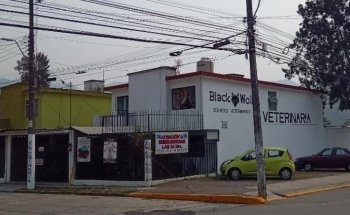 Black Wolf Servicios Veterinarios
