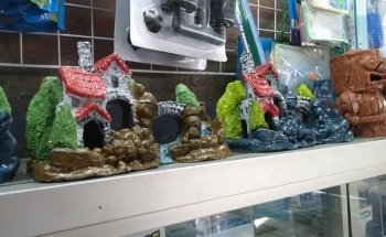 acuario acuazombie