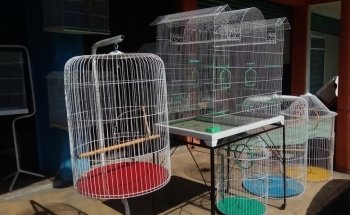CLUB DE MASCOTAS Q'PEZ
