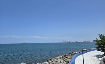 El acuario