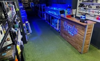 The Coral Shop