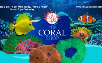 The Coral Shop