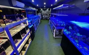 The Coral Shop