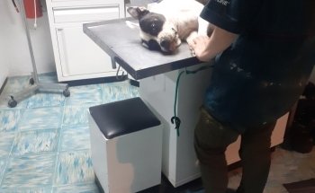 Clínica Veterinaria Orix Sur