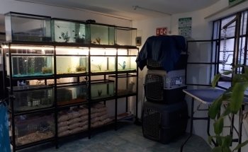 Clínica Veterinaria Orix Sur