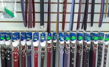 Estética Canina La Mascota