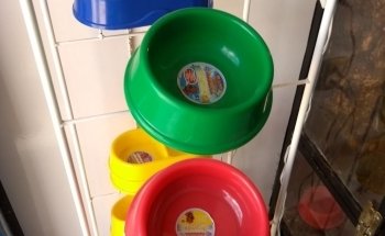 Estética Canina La Mascota