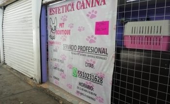 Acuafish y Estética Canina Pet boutique