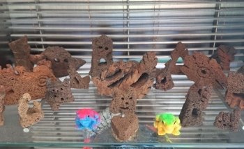 Acuario mundo acuático que pez