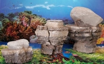 Acuario mundo acuático que pez