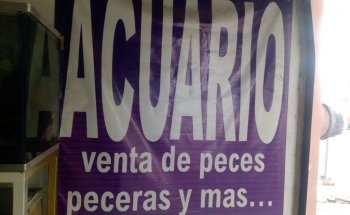 ACUARIO VIRGO