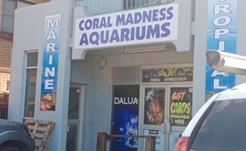 Coral Madness