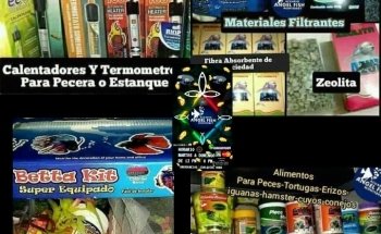 Acuario Angel Fish Monterrey