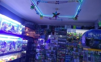 Acuario Tropical Fish & pets'