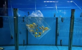 AquaZoo Aquarium