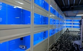 AquaZoo Aquarium
