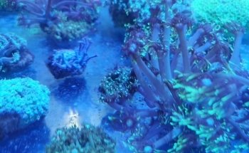 AquaZoo Aquarium