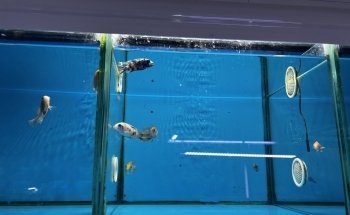 AquaZoo Aquarium