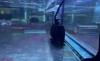 AquaZoo Aquarium