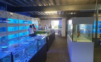 AquaZoo Aquarium