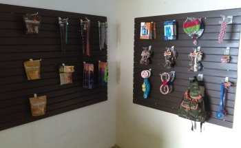 Cuidado de Mascotas en Casa